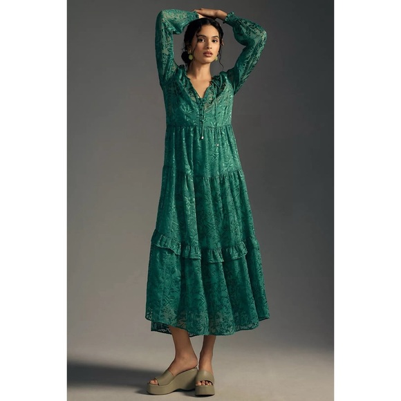 Anthropologie The Marais Maxi Dress: Satin-Burnout Edition NWT SZ 1X - Picture 5 of 15